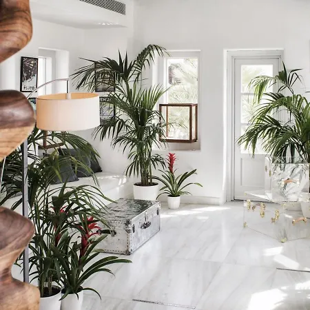 Belvedere Mykonos - Main - The Leading Of The World מלון 5*