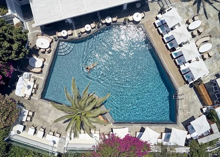 فندق Belvedere Mykonos - Main - The Leading Of The World Mykonos Town