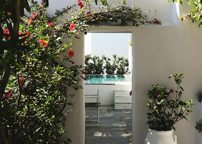 Ξενοδοχείο Belvedere Mykonos - Main - The Leading Of The World 5*